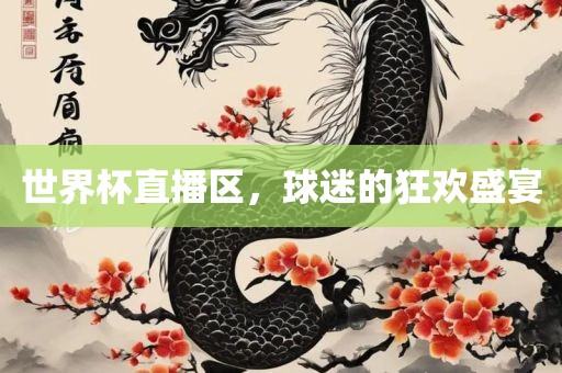 世界杯直播区，球迷的狂欢盛宴