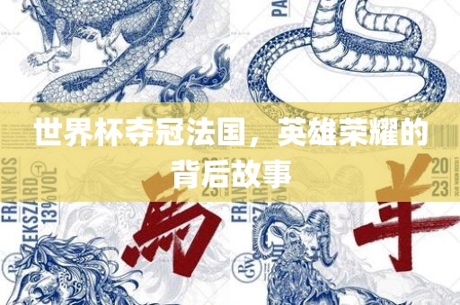 世界杯夺冠法国，英雄荣耀的背后故事