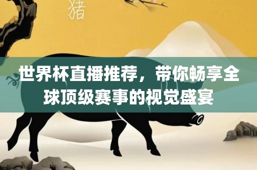 世界杯直播推荐，带你畅享全球顶级赛事的视觉盛宴