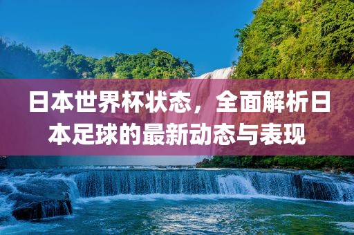日本世界杯状态，全面解析日本足球的最新动态与表现
