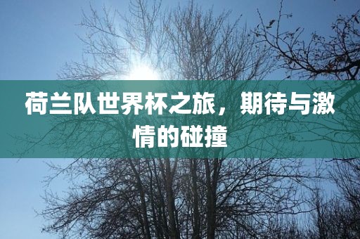 荷兰队世界杯之旅，期待与激情的碰撞