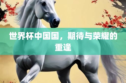 世界杯中国国，期待与荣耀的重逢