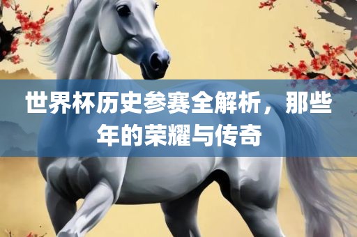 世界杯历史参赛全解析，那些年的荣耀与传奇