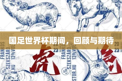 国足世界杯期间，回顾与期待
