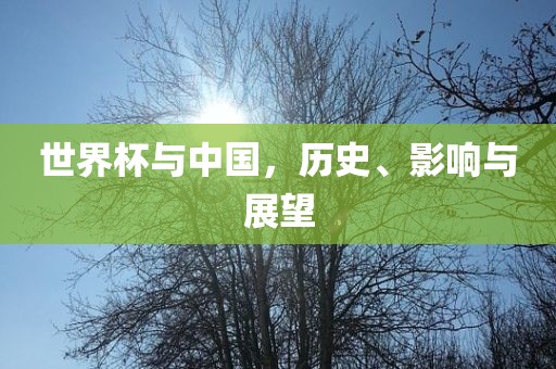 世界杯与中国，历史、影响与展望