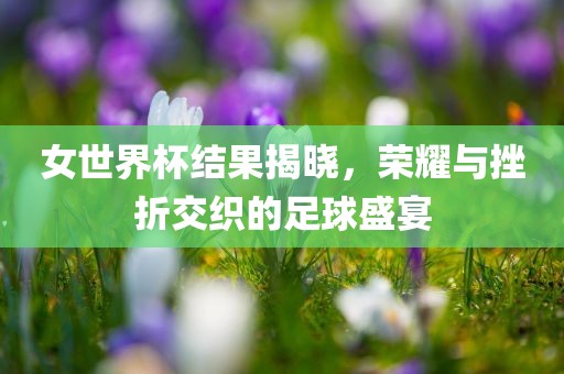 女世界杯结果揭晓，荣耀与挫折交织的足球盛宴