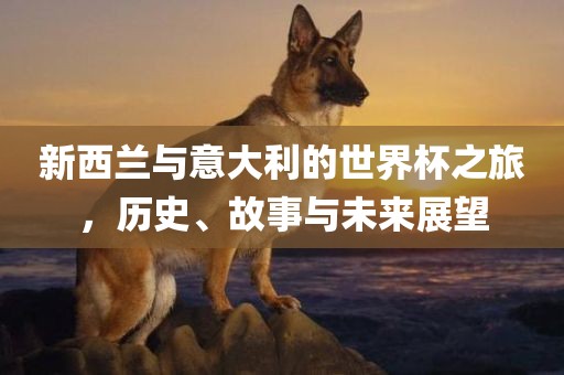 新西漯河市盈旭机械设备有限公司兰与意大利的世界杯之旅，历史、故事与未来展望