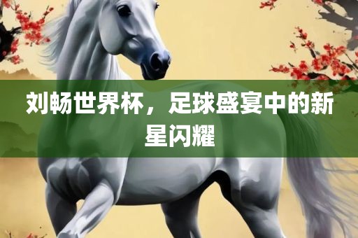 刘畅世界杯，足球盛宴中的新星闪耀