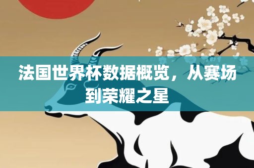 法国世界杯数据概览，从赛场到荣耀之星
