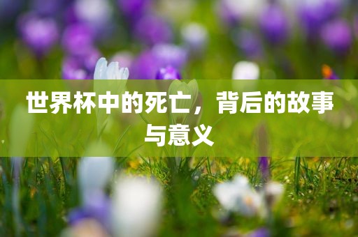 世界杯中的死亡，背后的故事与意义