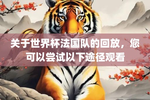 关于世界杯法国队的回放，您可以尝试以下途径观看