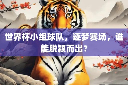 世界杯小组球队，逐梦赛场，谁能脱颖而出？