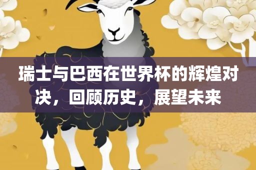 瑞士与巴西在世界杯的辉煌对决，回顾历史，展望未来