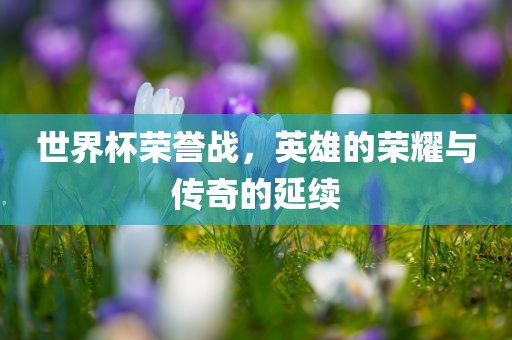 世界杯荣誉战，英雄的荣耀与传奇的延续