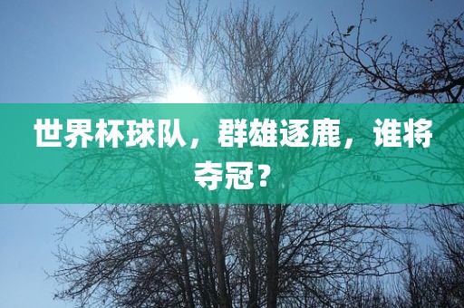 世界杯球队，群雄逐鹿，谁将夺冠？