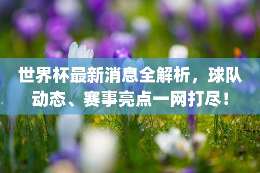 世界杯最新消息全解析，球队动态、赛事亮点一网打尽！