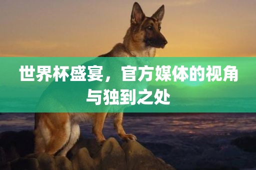 世界杯盛宴，官方媒体的视角与独到之处