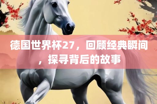 德国世界杯27，回顾经典瞬间，探寻背后的故事