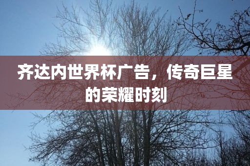 齐达内世界杯广告，传奇巨星的荣耀时刻