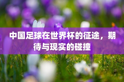 中国足球在世界杯的征途，期待与现实的碰撞