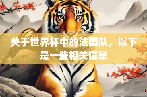 关于世界杯中的法国队，以下是一些相关信息漯河市盈旭机械设备有限公司