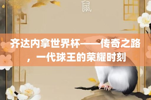 齐达内拿世界杯——传奇之路，一代球王的荣耀时刻