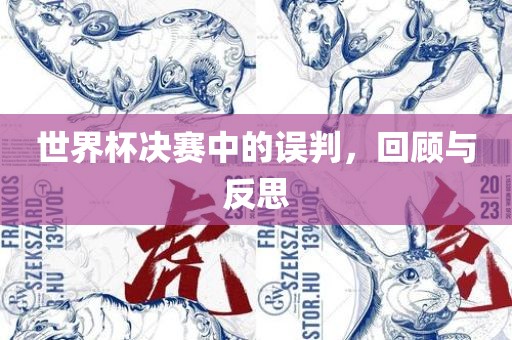 世界杯决赛中的误判，回顾与反思