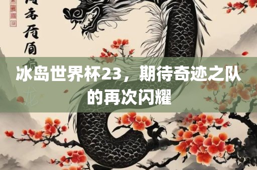 冰岛世界杯23，期待奇迹之队的再次闪耀