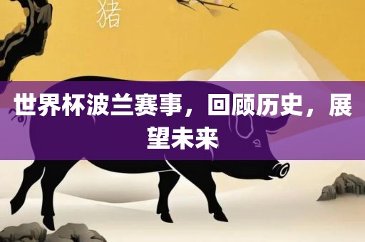 世界杯波兰赛事，回顾历史，展望未来