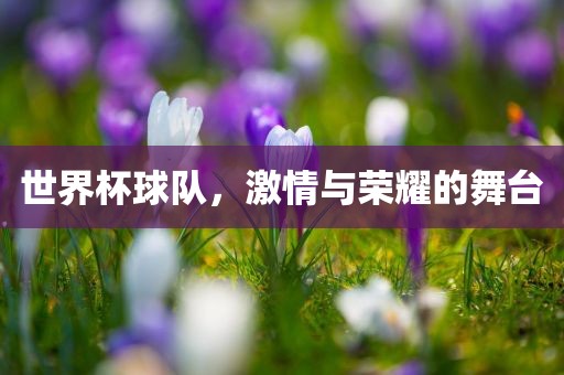 世界杯球队，激情与荣耀的舞台
