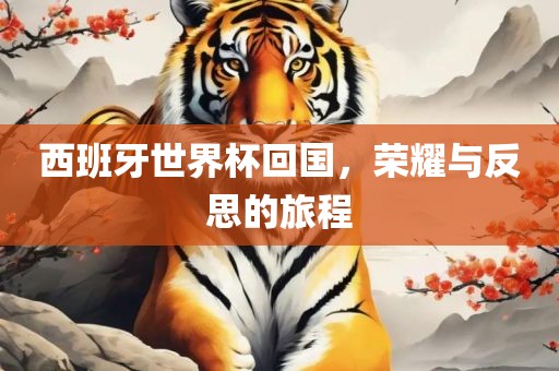 西班牙世界杯回国，荣耀与反思的旅程