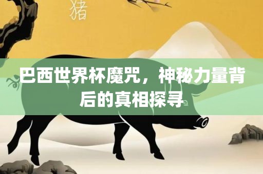 巴西世界杯魔咒，神秘力量背后的真相探寻