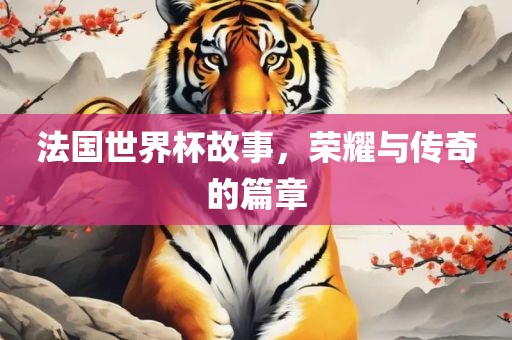 法国世界杯故事，荣耀与传奇的篇章