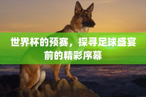世界杯的预赛，探寻足球盛宴前的精彩序幕