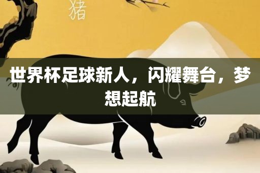 世界杯足球新人，闪耀舞台，梦想起航