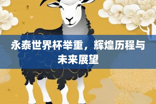 永泰世界杯举重，辉煌历程与未来展望