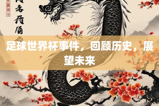 足球世界杯事件，回顾历史，展望未来