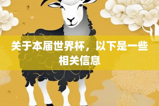 关于本届世界杯，以下是一些相关信息
