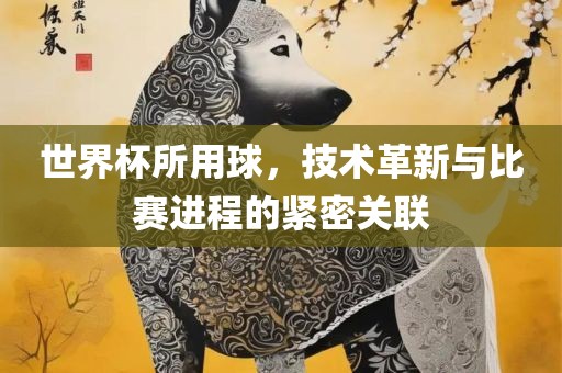 世界杯所用球，技术革新与比赛进程的紧密关联