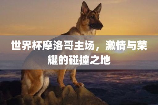 世界杯摩洛哥主场，激情与荣耀的碰撞之地