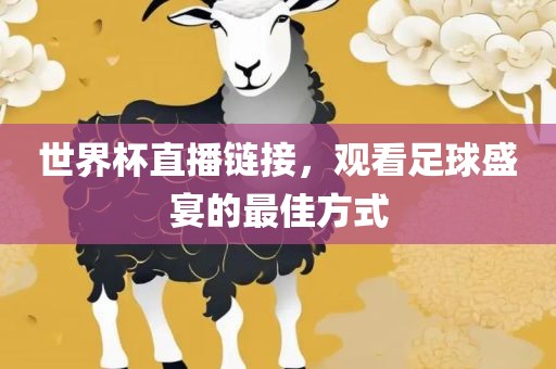 世界杯直播链接，观看足球盛宴的最佳方式
