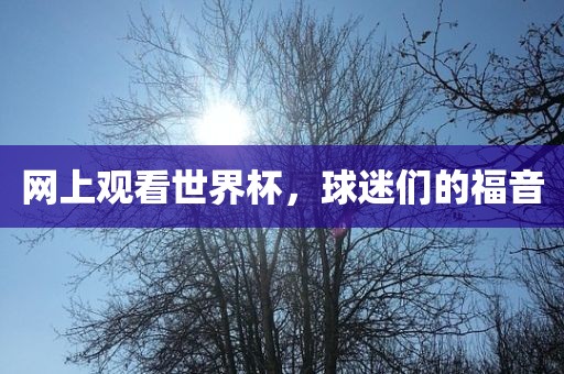 网上观看世界杯，球迷们的福音