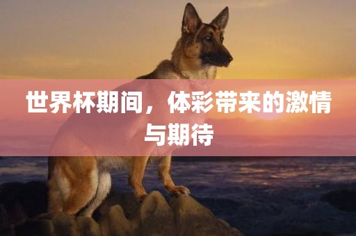 世界杯期间，体彩带来的激情与期待