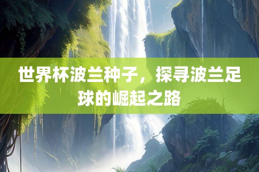 世界杯波兰种子，探寻波兰足球的崛起之路