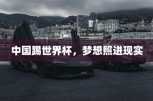 中国踢世界杯，梦想照进现实