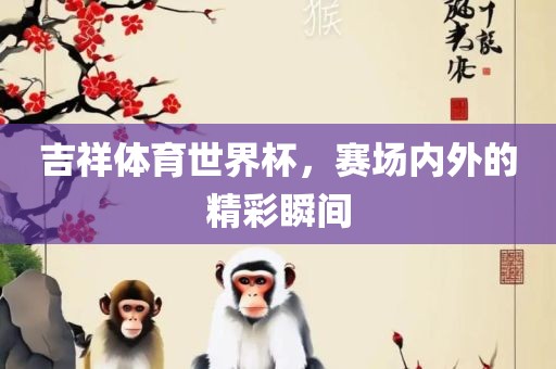 吉祥体育世界杯，赛场内外的精彩瞬间