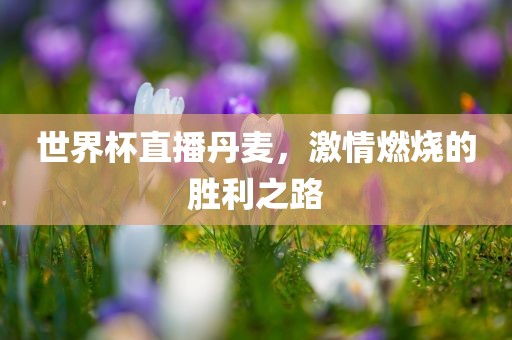 世界杯直播丹麦，激情燃烧的胜利之路