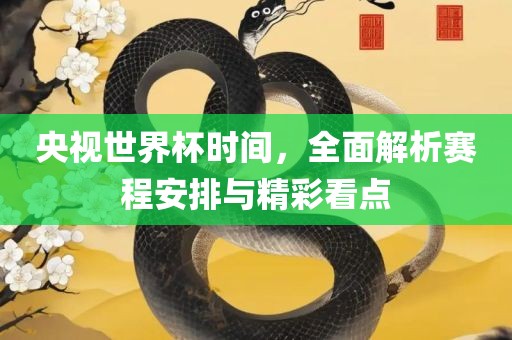 央视世界杯时间，全面解析赛程安排与精彩看点