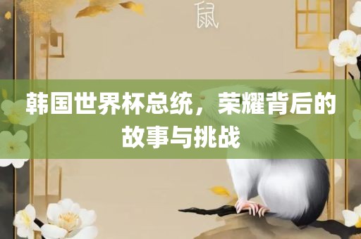 韩国世界杯总统，荣耀背后的故事与挑战