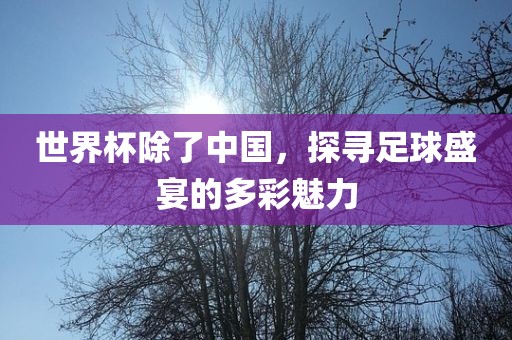 世界杯除了中国，探寻足球盛宴的多彩魅力